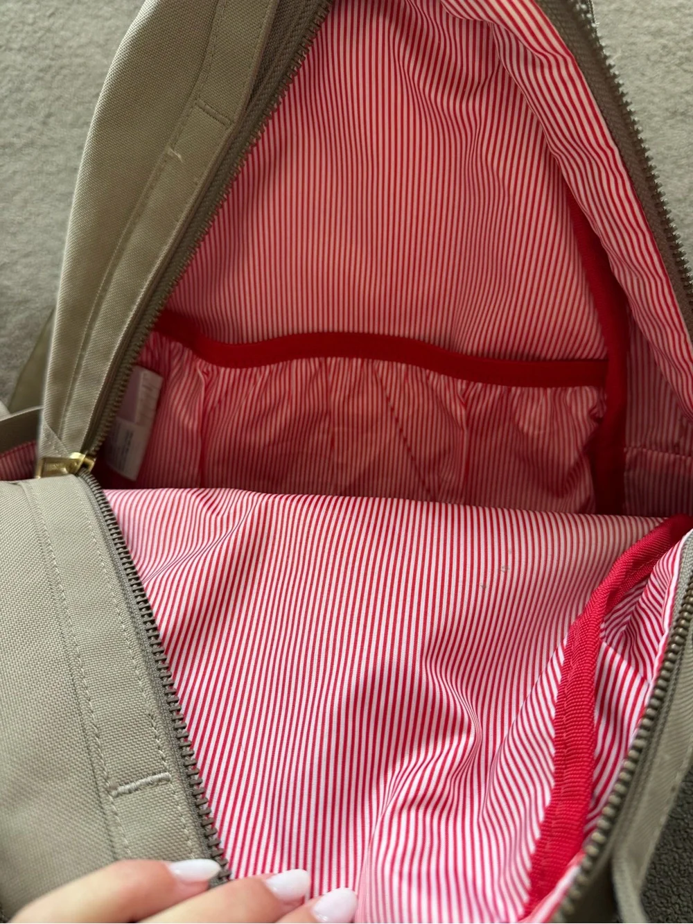Herschel Supply Company Classic Backpack in Tanish Pink